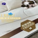 椅墊訂做,實木椅椅墊訂作